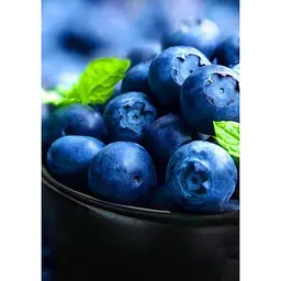Саджанець Agro-Market Лохина соковитого синього блискучого кольору Солодке захоплення (Sweet Delight) (преміальний, солодкий, морозостійкий, високоврожайний сорт) 1 шт. в упаковці (47687) - мініатюра 4