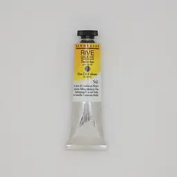 Олійна фарба Rive gauche 40 мл, Жовтий кадмій середній відтінок (Cadmium Yellow Medium Hue)