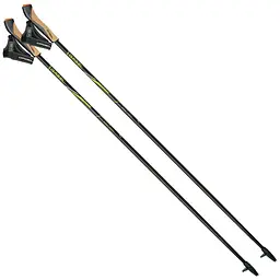 Палиці для скандинавської ходьби Gabel FX-75 Snake Carbon 125 Dual Spike (7009351011250) фіксованої довжини