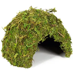Схованка з моху Repti-Zoo Natural Mossy Dome M 14x10,5см ERS25M для тераріуму, рептилій і геконів, з живим мохом - мініатюра 4