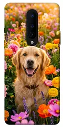 TPU чохол Demsky Flowery labrador для OnePlus 8