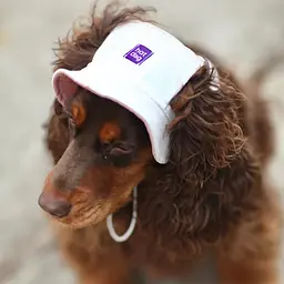 Панама для собак Hat-Dog Крем "Дуо" вельвет (S) - мініатюра 2