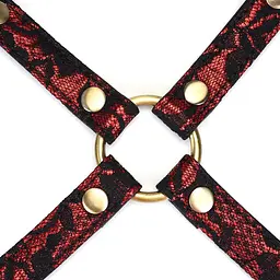 Хрестовина Liebe Seele Victorian Garden Hogtie - мініатюра 2