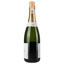 Вино ігристе Elvi Wines Cava Brut, біле, брют, 0,75 л, 11,5% (872780) - мініатюра 2
