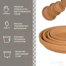 Піддон Terraneo 25х4см - мініатюра 4