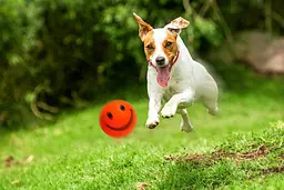 Іграшка для собак м'яч смайлик Happet, помаранчевий, 5.7 см, (Z735) - мініатюра 2
