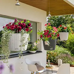 Вазон підвісний Lechuza Cottage Nido 35 білий (15290) - мініатюра 5