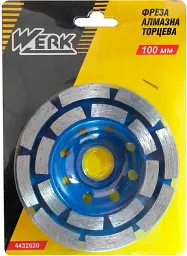 Фреза алмазна Werk 100x22.23 мм (79889) - мініатюра 2