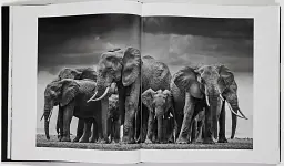 David Yarrow: The Collection - мініатюра 3