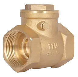 Зворотний клапан пелюстковий Thermo Alliance Standart 1 1/4" ВВ (низького тиску) SD242W32 - мініатюра 1