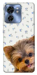 TPU чохол Demsky Cute Yorkie для Motorola Edge 40