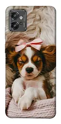 TPU чохол Demsky Sleepy spaniel для Motorola Moto G32