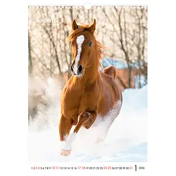 Календар настінний Axent А3 Horses 2026 рік (8804-26-3-A) - мініатюра 2