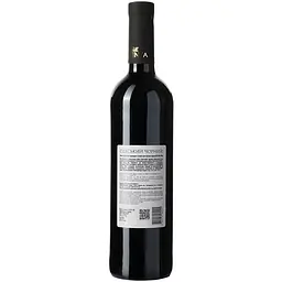 Вино Villa Tinta Odessa Black, червоне, сухе, 13%, 0,75 л (8000018914818) - мініатюра 3