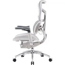 Крісло офісне Sihoo Doro S300 Mesh Light Grey (S300-M202) - мініатюра 4
