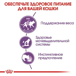 Набір вологого корму для дорослих стерилізованих котів Royal Canin Sterilised in Jelly шматочки в желе 1.02 кг (12 шт. х 85 г) - мініатюра 5