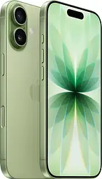 Смартфон Apple iPhone 17 256GB eSIM Sage (MG4A4)