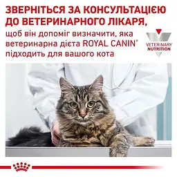 Вологий дієтичний корм для дорослих котів Royal Canin Urinary S/O при захворюваннях нижніх сечовивідних шляхів, 85 г (12540019) - мініатюра 4