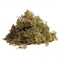 Живий мох Komodo Habitat Moss 1,5 л для тераріуму, амфібій та рептилій (83003) - мініатюра 2