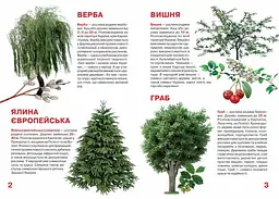 Велика книга Кристал Бук Рослинний світ України (F00012692) - мініатюра 2