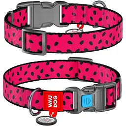 Нашийник для собак Waudog Nylon Кавун, з QR-паспортом, пластиковый фастекс, L, 31-49х2,5 см - мініатюра 3