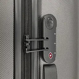Валіза Swissbrand Anvers L Silver (SWB_LHANV802L) - мініатюра 2