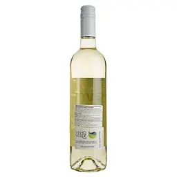 Вино Levity Vinho Verde біле напівсухе 12% 0.75 л - мініатюра 4