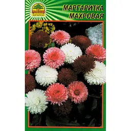 Насіння Маргаритка махрова 100 шт. (Насіння країни)