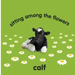 Baby Touch and Feel. Farm Animals - мініатюра 3