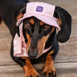 Панама для собак Hat-Dog рожева (S) - мініатюра 2