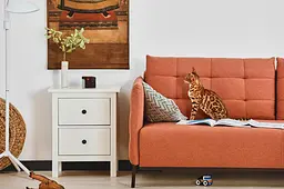 Компактна HD-камера Petcube Play 2 (PP20US) - мініатюра 9