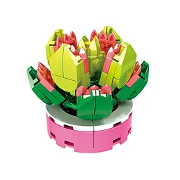 Конструктор Woma Toys Сукуленти в асортимені (8844) - мініатюра 6