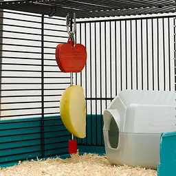 Кліпса для підживлення птахів Ferplast PA 4328 FRUIT HOLDER 4.5х1х20 см 84328899 - мініатюра 2