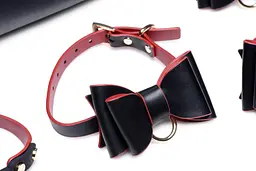 Набір для BDSM Master Series Bow - Luxury BDSM Set With Travel Bag - мініатюра 7