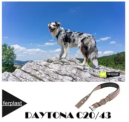 Нашийник для собак Ferplast Daytona C20/43 коричневий нейлоновий 2х35-43 см 75246912 - мініатюра 4
