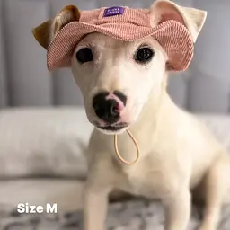 Панама для собак Hat-Dog Пудра (M) - мініатюра 2