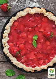 Саджанець Agro-Market Полуниця Венді (Wendy) (ультраранній термін дозрівання) 5 шт. в пакуванні (25731) - мініатюра 3