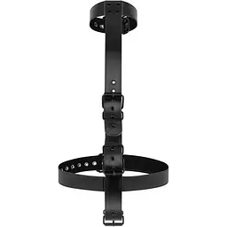 Фіксатор для рук і шиї Bedroom Fantasies Seductive Straps Body RestRaint Set - мініатюра 3