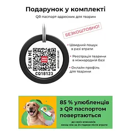 Нашийник для собак Waudog нейлоновий з QR-паспортом Смайли на блакитному S - мініатюра 9