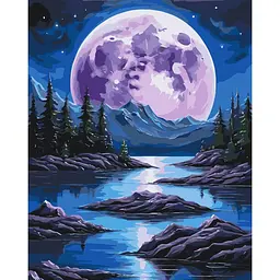Картина за номерами ART CRAFT Нічна магія 40x50 см Різнокольоровий (PM-194-K-1267)
