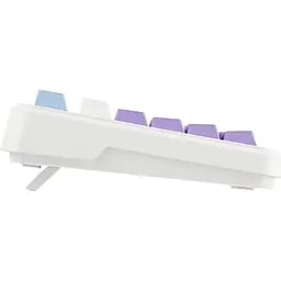 Клавіатура Ajazz AK820 MAX Magnetic Switch Purple/White/Blue RGB (AK820MAX-WM-PWB) [142199] - мініатюра 5