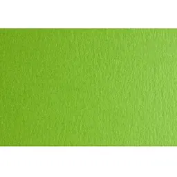 Папір для дизайну Fabriano Colore B2 (50x70см) №30 verde piselo 200г/м2 салатовий дрібне зерно