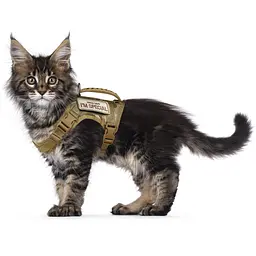 Шлейка для котів Harness, тактичний жилет з ручкою (35-48 см), Камуфляж - мініатюра 4