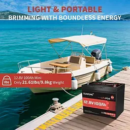 Акумулятор Dumfume LiFePO4 12V (12.8V/100Ah/1280Wh) (Dumfume-12,8V/100Ah-MINI) [164635] - мініатюра 13