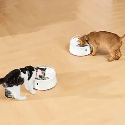 Смарт годівниця CATLINK RFID Pet Feeder - Standard White - мініатюра 7