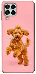 TPU чохол Demsky Happy poodle для Samsung Galaxy M53 5G