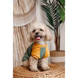 Футболка Pet Fashion Kent для собак S - мініатюра 7