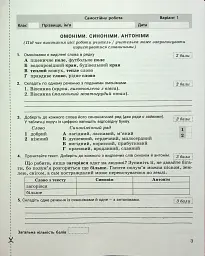 Українська мова. 5 клас. Контроль результатів навчання - Віктор Заболотний - мініатюра 2