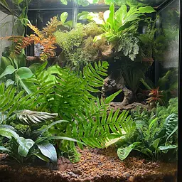 Штучна рослина, папороть Terrario 32x15x32см (330) - мініатюра 4