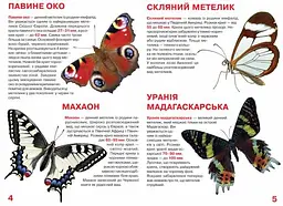 Велика книга Кристал Бук Метелики (F00019393) - мініатюра 2